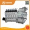VG1560080023 Assemblage de pompe à injection de carburant Parties de moteur Weichai