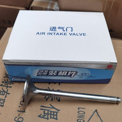 Valve d'admission de pièces de rechange de camion de Sinotruk Howo 612600050073