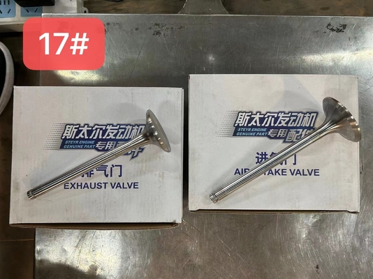 612600050025 Vanne d'échappement à air Weichai WP10 Pièces de moteur diesel