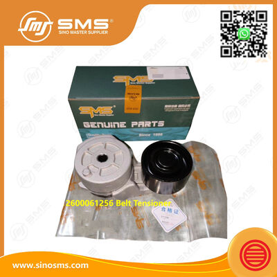 Tendeur de courroie 612600061256 pour moteur Weichai WP10, pièce de rechange pour camion lourd